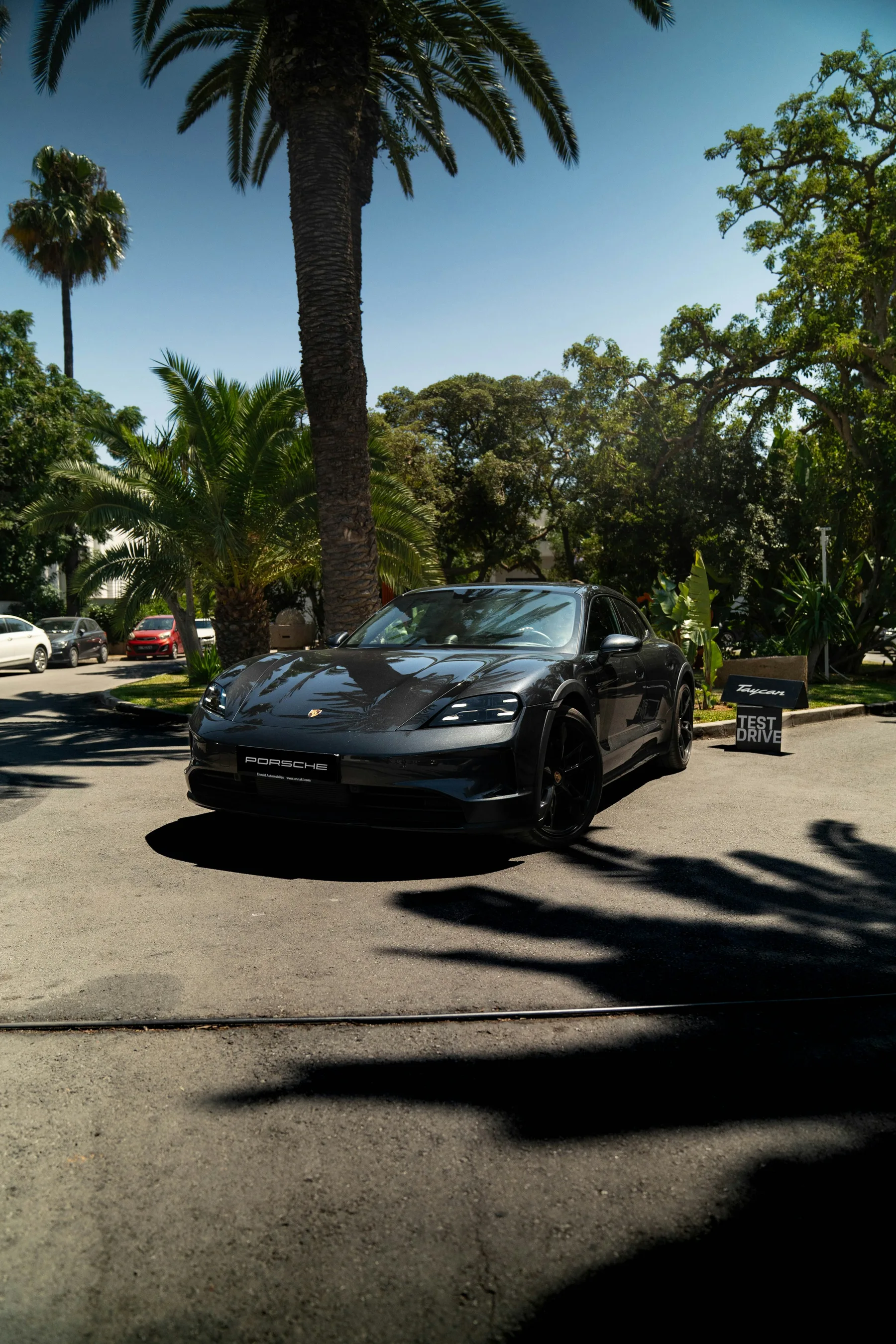 Porsche Taycan beneath palm trees, illustrating a grand touring category